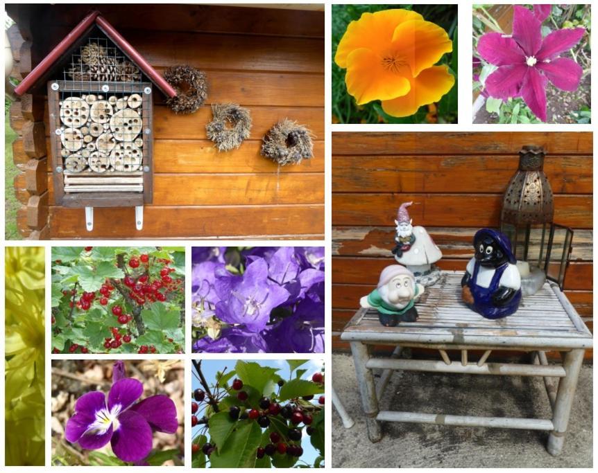 Au Rendez Vous De L'Auxois B&B Essey Εξωτερικό φωτογραφία